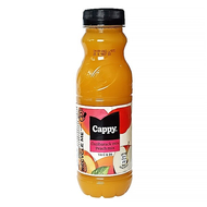 Gyümölcslé CAPPY Őszibarack mix 50%-os 0,33L