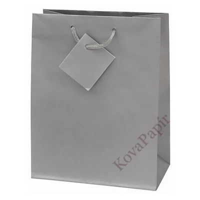 Dísztasak CREATIVE Special Simple M 18x23x10 cm egyszínű ezüst zsinórfüles