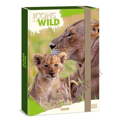Füzetbox ARS UNA A/4 Icons of the Wild-Lions