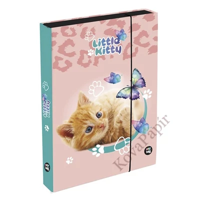 Füzetbox OXY A/5 Jumbo Cat