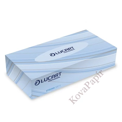 Kozmetikai kendő LUCART Strong 100V