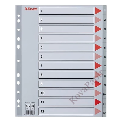 Regiszter ESSELTE A/4 maxi műanyag 1-12 szürke